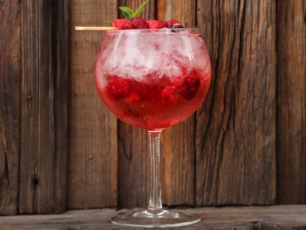 Gin Tonic Frutos Rojos