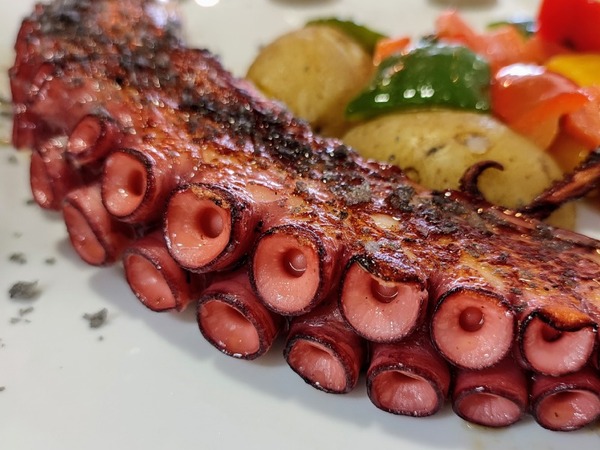 Pata de Pulpo asada, al Mojo Picón