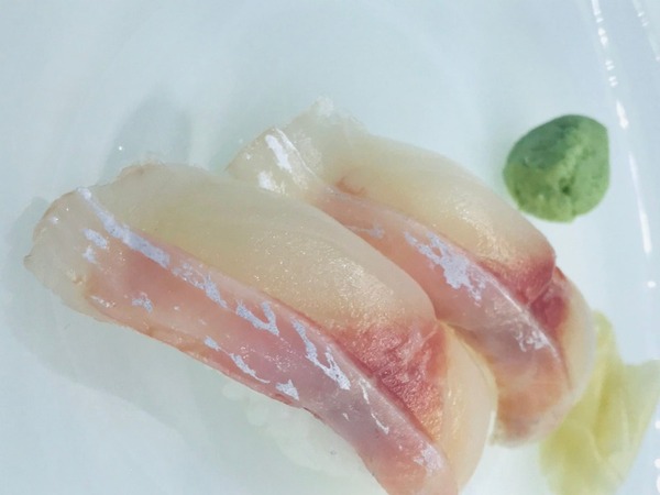 Dorada Nigiri 