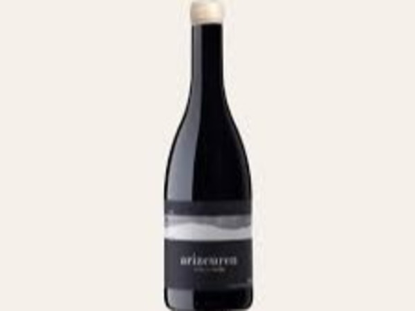 SOLOGARNACHA ÁNFORA 2023